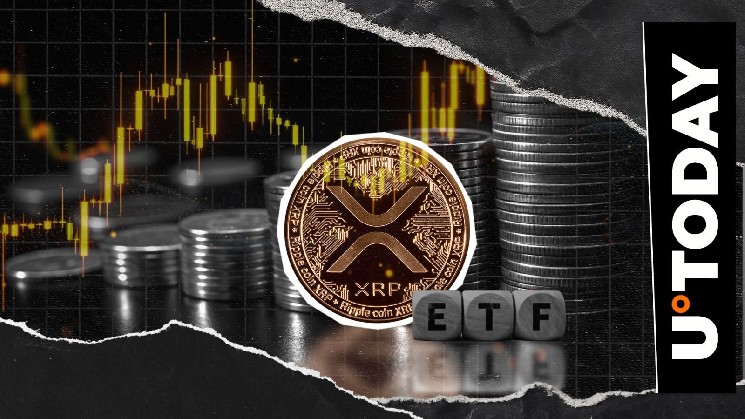 Запуск ETF XRP: как новыми продуктами меняется рынок криптовалюты