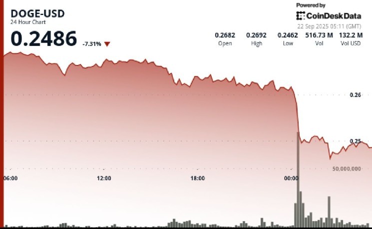 Dogecoin упал до $0.25 на фоне институциональной распродажи: что дальше?