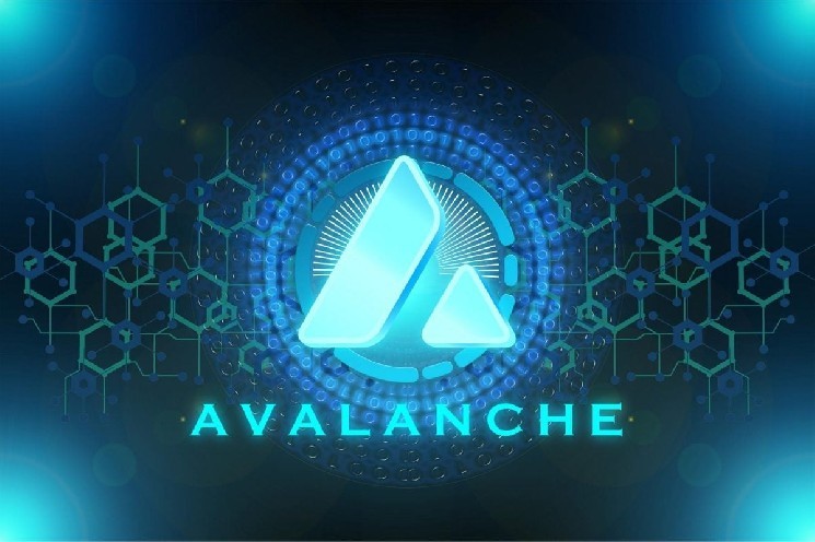 Токенизация автомобилей: как Avalanche и Toyota меняют будущее транспорта