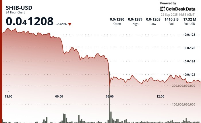 SHIB упал на 5%, но опередил Dogecoin: медвежье давление и новые уровни поддержки