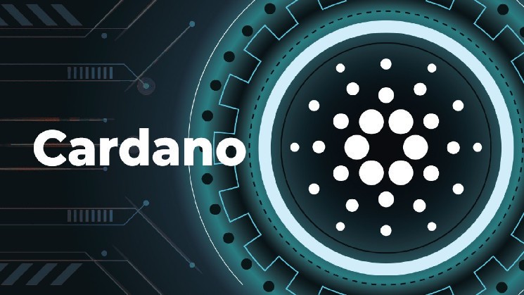 Cardano оголосила про нову дорожню карту: фокус на стейблкоїнах та DeFi