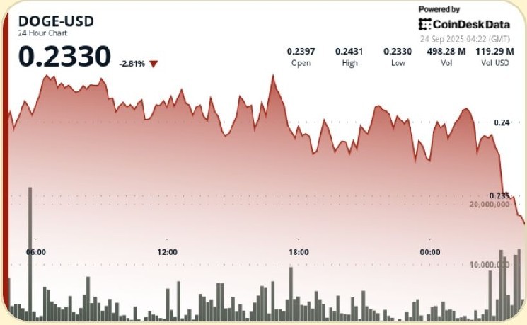DOGE сохраняет стабильность на уровне $0.24 amid нестабильности рынка криптовалют