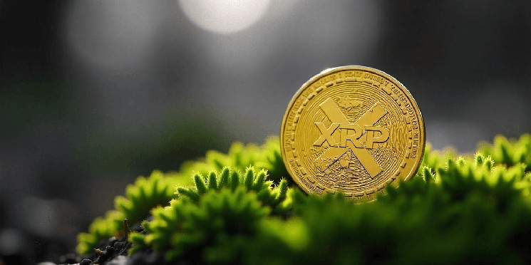 Влияние политики ФРС на цену XRP: чем грозит дилемма Джерома Пауэлла?