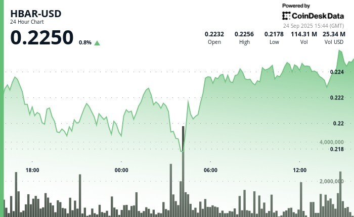 HBAR столкнулся с резкими колебаниями: восстановление после падения до $0.217 и институциональный интерес к спотовому ETF