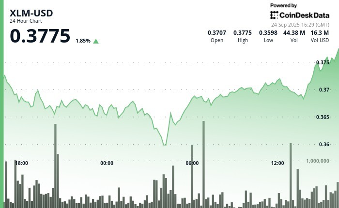 XLM Консолидируется После Падения: Тест Ключевых Уровней Поддержки и Активность Институциональных Трейдеров