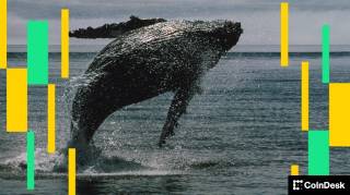 Кит Ether потерял 45 миллионов долларов после краха цен на ETH ниже 4000 долларов