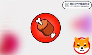 Крипто журналіст: BONE на швидкій хвилі Gate-io