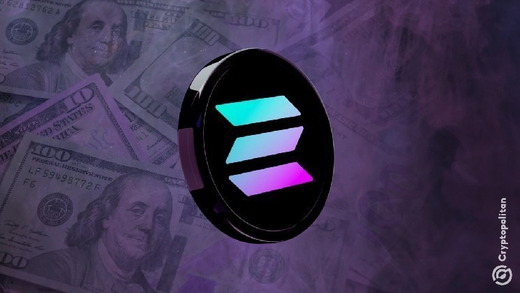 Pacifica: Новый Децентрализованный Обменник на Solana и Его Связь с FTX