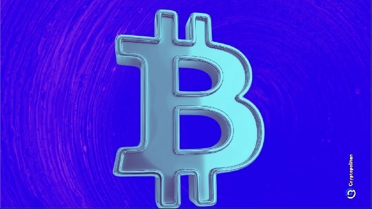 Биткойн сохраняет бычий рынок: анализ данных и уверенность долгосрочных держателей