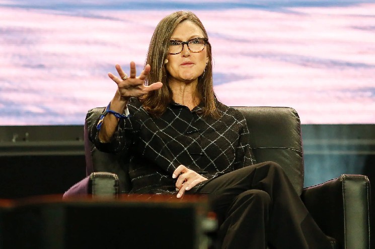 Cathie Wood про новий альткоїн Hyperliquid: потенціал на рівні ранньої Solana