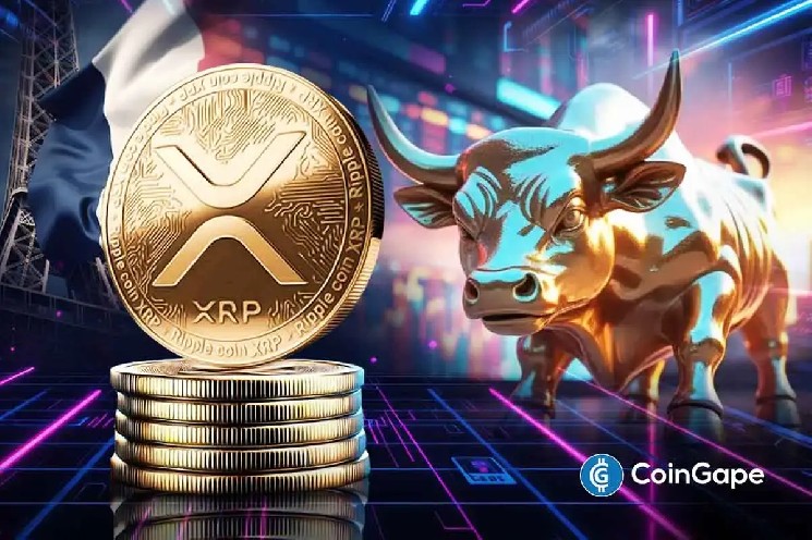 Финансовый инсайдер из Франции инвестировал 48,9 миллиона долларов в XRP, вызывая спекуляции о бычьем тренде на рынке криптовалют.