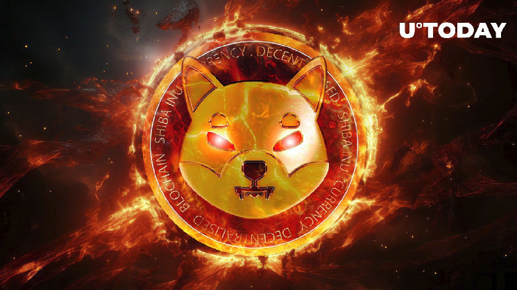 SHIB зросла на 103%: мільйони монет заблоковані