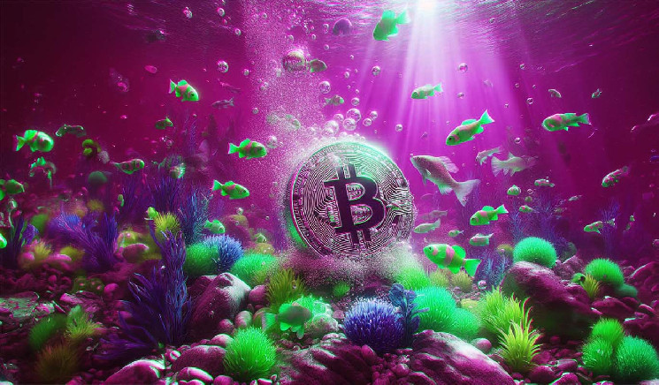 Прогноз движения биткоина от Кевина Свенсона