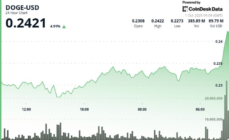 Dogecoin стабилизировался: что ждать после роста и борьбы за уровень $0.234?