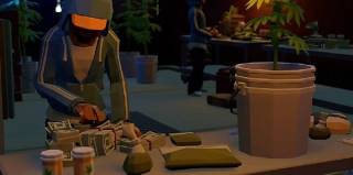 Addicted: Ферминг каннабиса на Solana и его безумные доходы