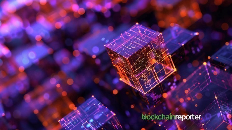 CDARI и WebKey: Партнерство для упрощения децентрализованного Web3 с акцентом на безопасность и доступность