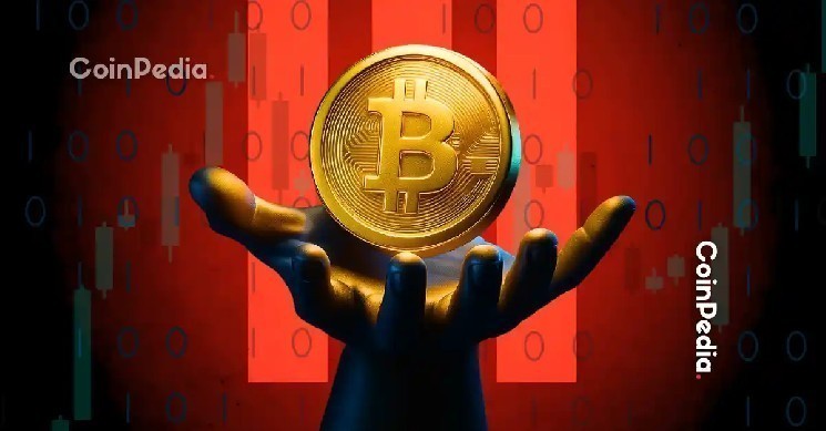 Биткойн достигает исторического максимума: прогнозы и оптимизм в криптоиндустрии от эксперта Bitwise