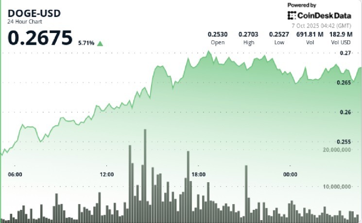 DOGE зріс на 6%: трейдери сподіваються на прорив до 35 центів