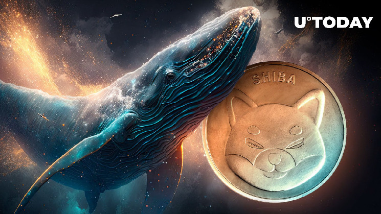 Анонімні кити перемістили половину трильйона жетонів Shiba Inu