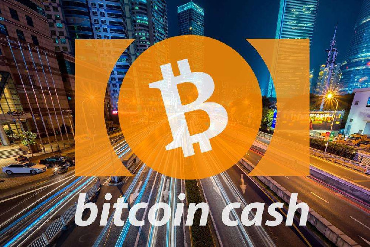 Bitcoin Cash: новый исторический максимум в 2024 году?