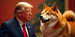Опасность для Shiba Inu: обесценится ли цена SHIB из-за угроз Трампа?