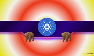Cardano (ADA) обвалився на 65%: кити втікли, ринок в паніці