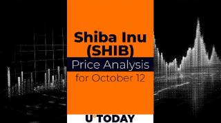 Аналіз цінових коливань SHIB: перспективи та ризики на 12 жовтня