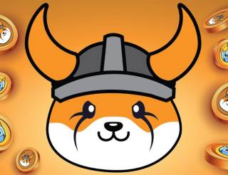 Новий мобільний додаток Вальгалла від Флокі: рекордне спалення токенів