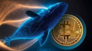 Розподіл 2000 BTC: великі перекази китів і їхній вплив на крипторинок