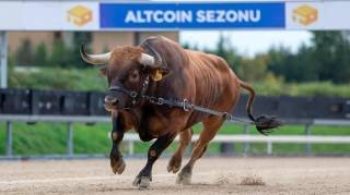 Индекс сезона альткойнов падает: рынок снова в руках Биткойна