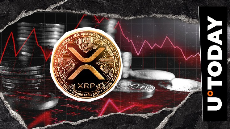 $242 миллиона в XRP: крупные держатели сбрасывают активы на фоне рыночного давления