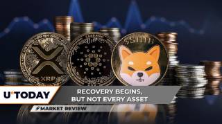 1) Обсяг XRP піднімає питання, ADA виходить на відміну, SHIB показує візерунок
2) XRP, ADA, SHIB: Обсяг, відміна, візерунок
3) Чи може XRP вижити? ADA вгору, SHIB в підйомі