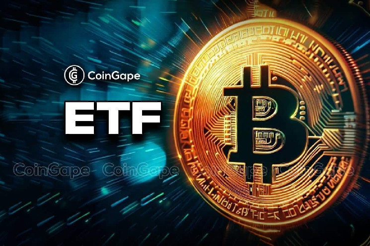 Daffy выбрала BITB Bitcoin ETF вместо Vanguard: интервью с CEO Bitwise