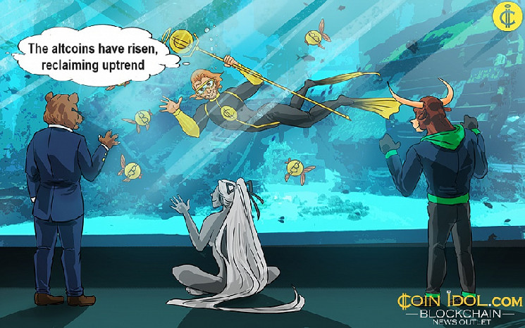 Альткоїни: відновлення та зростання