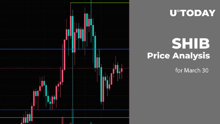 Прогноз ціни SHIB на 30 березня: були бики, але червоний день.