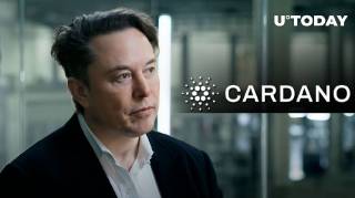 Елон Маск та його зацікавленість у Cardano (ADA)