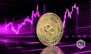 Довіра власників токенів Полігону падає