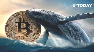 Збереження китів Bitcoin зростає на 6 900%