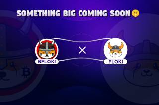 BitFloki (BFLOKI): нова надія для криптомільйонерів
