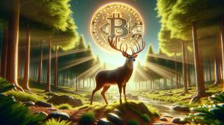 Bitdeer и TSMC: новые чипы для майнинганикают.