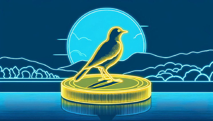 Прогноз трейдера на мемкойн та Solana - корекція на горизонті