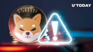 Критическое предупреждение от Shiba Inu: фальшивые Шебоши и различия с токеном SHEB