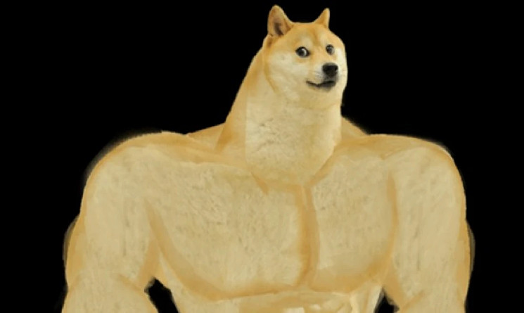 SWOLE готується до ракетного зростання: переваги та можливості