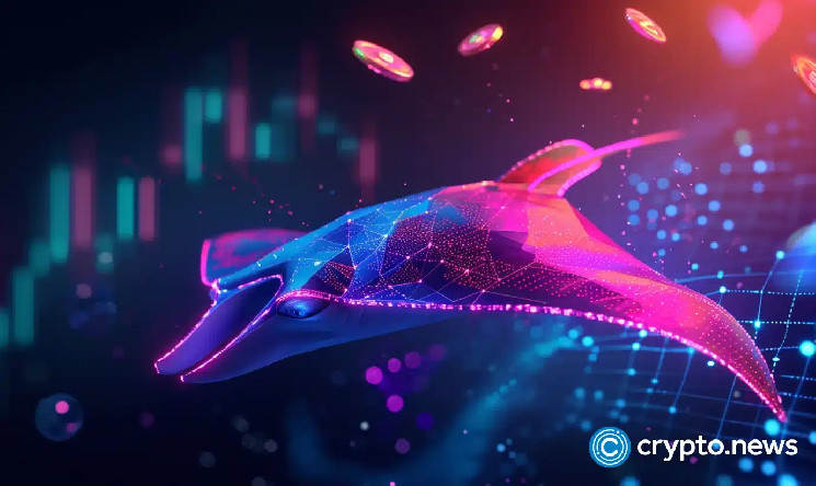 Manta Network отстоялся от DDoS-атаки во время дебюта на биржах.