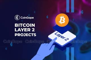 Критика технології Bitcoin Layer 2 від засновника Mempool