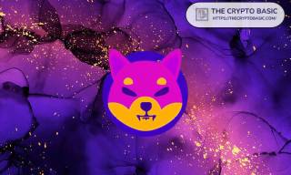 Shiba Inu: Поддержка платежей в SHIB и BONE на Shibarium.