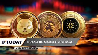 Shiba Inu резко падает, Uniswap продолжает провал, Cardano приземляется на поддержку