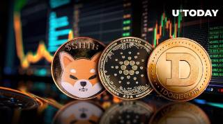 Відновлення криптовалют після краху: SHIB, DOGE, ADA