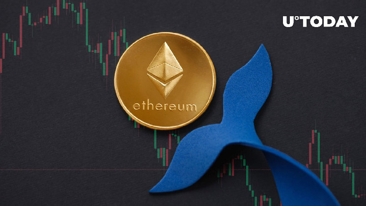 Крах ціни Ethereum (ETH): Кити активно накопичують ETH