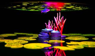 Попередження про часову капітуляцію альткоїнов